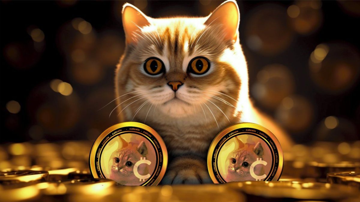 How to withdraw Cat Coin, it is necessary to be a member of Telegram Group